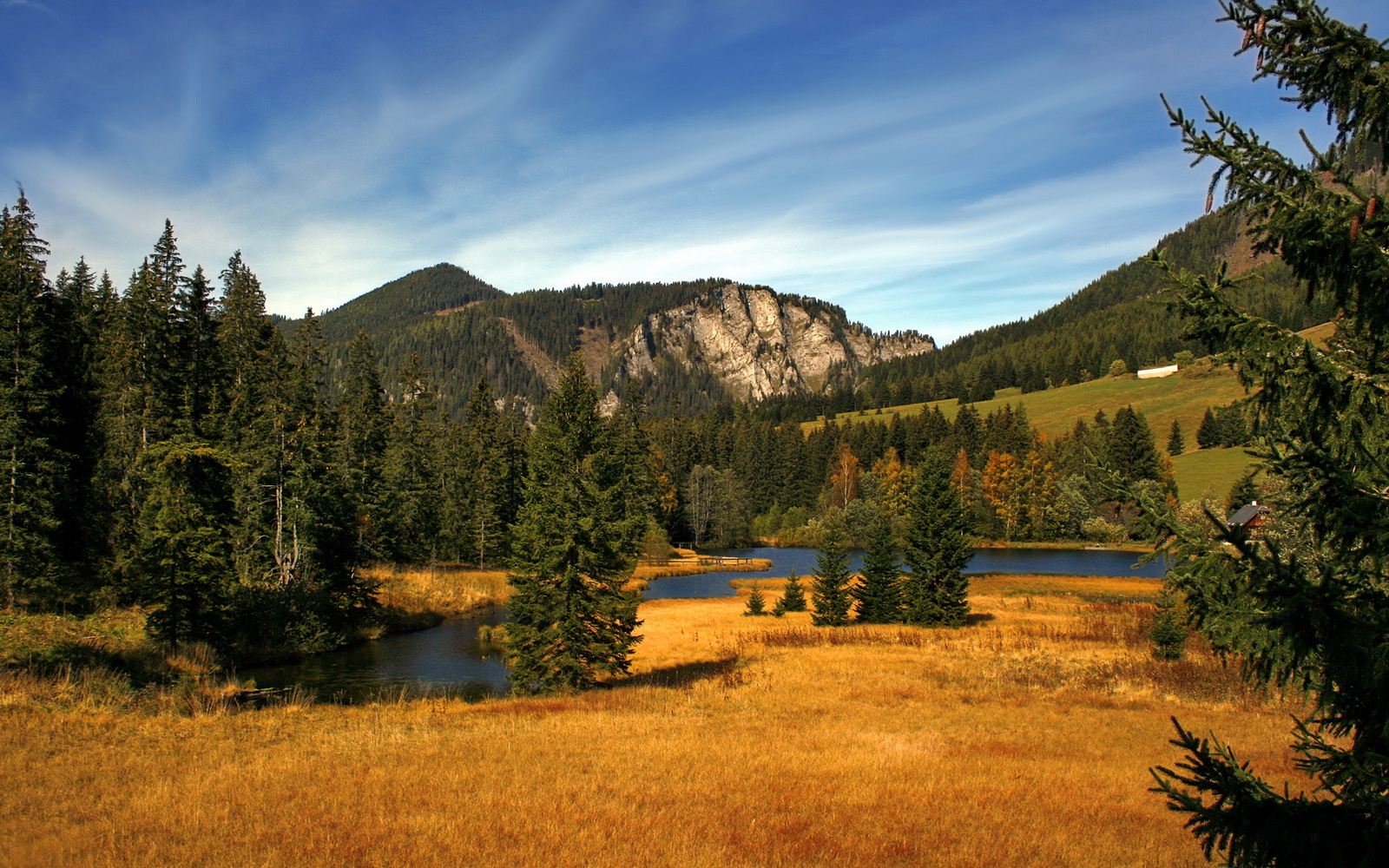 -韩国仰泳选手状态逐渐回暖，仰泳主演