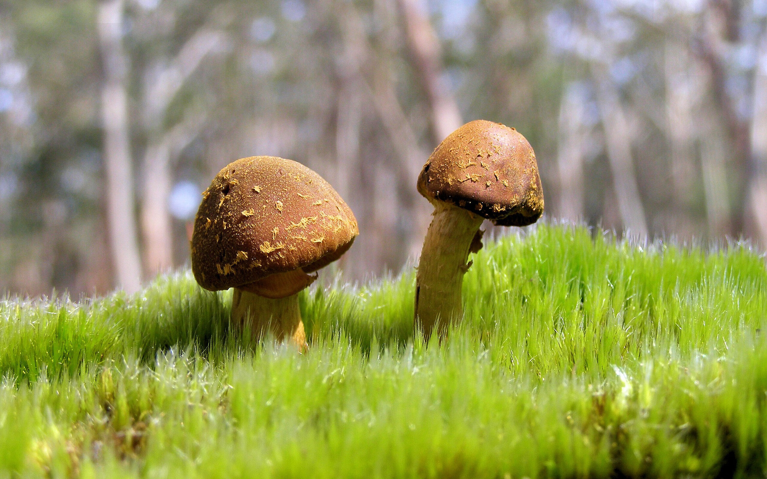 高校篮球赛事增加观众互动活动提升参与感，人文教育学院篮球比赛活动方案