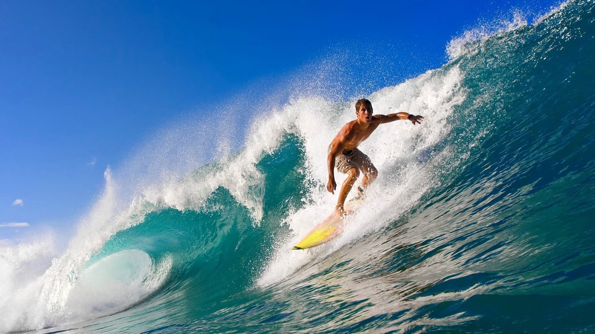 特色山地森林跑,绿色环保运动新玩法,森林跑步比赛